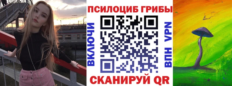 Купить  Верхняя Салда  Псилоцибиновые грибы Psilocybe 